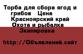 Торба для сбора ягод и грибов › Цена ­ 500 - Красноярский край Охота и рыбалка » Экипировка   